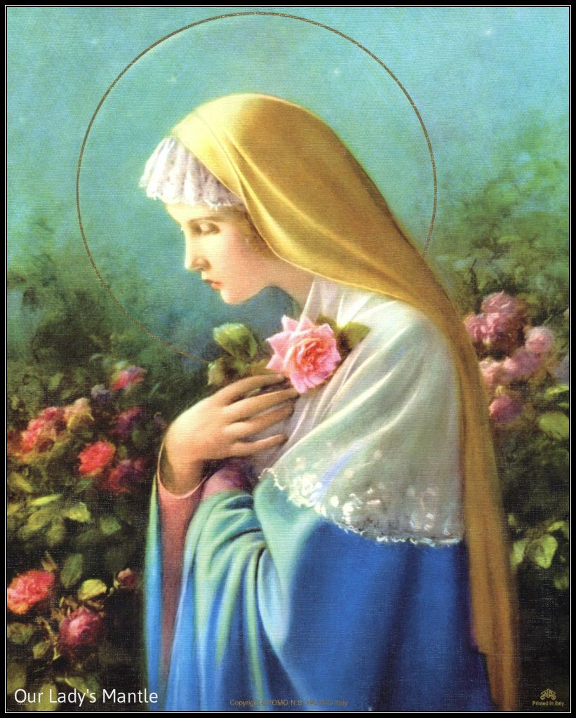8 X 10 Catholic Picture Print Blessed Virgin Mary Mystical Rose Rosa 